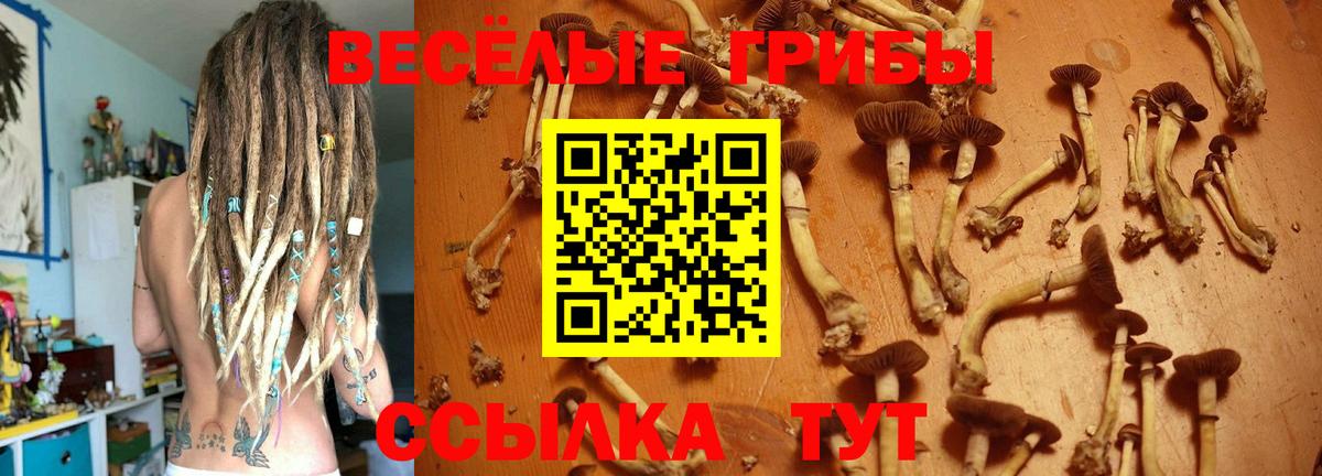 Железноводск  Псилоцибиновые грибы Psilocybine cubensis  Вход с VPN  Галлюциногенные грибы прущие грибы 